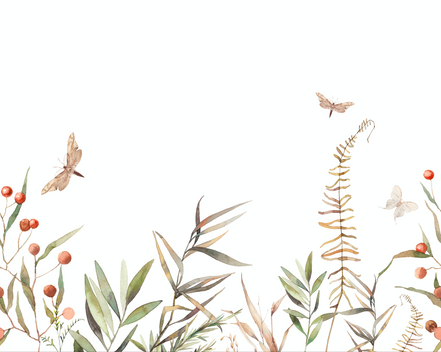 Flowers and Butterfly
