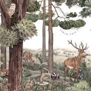 Forest Jive
