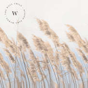 Gold Grass