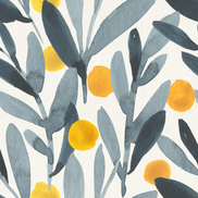 Grey Yellow