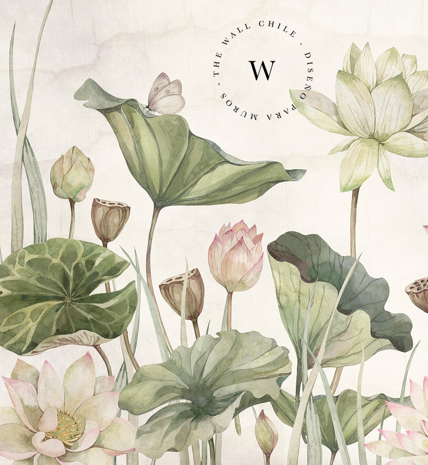 Lovely Water Lillies - Medium