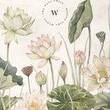 Lovely Water Lillies - Medium