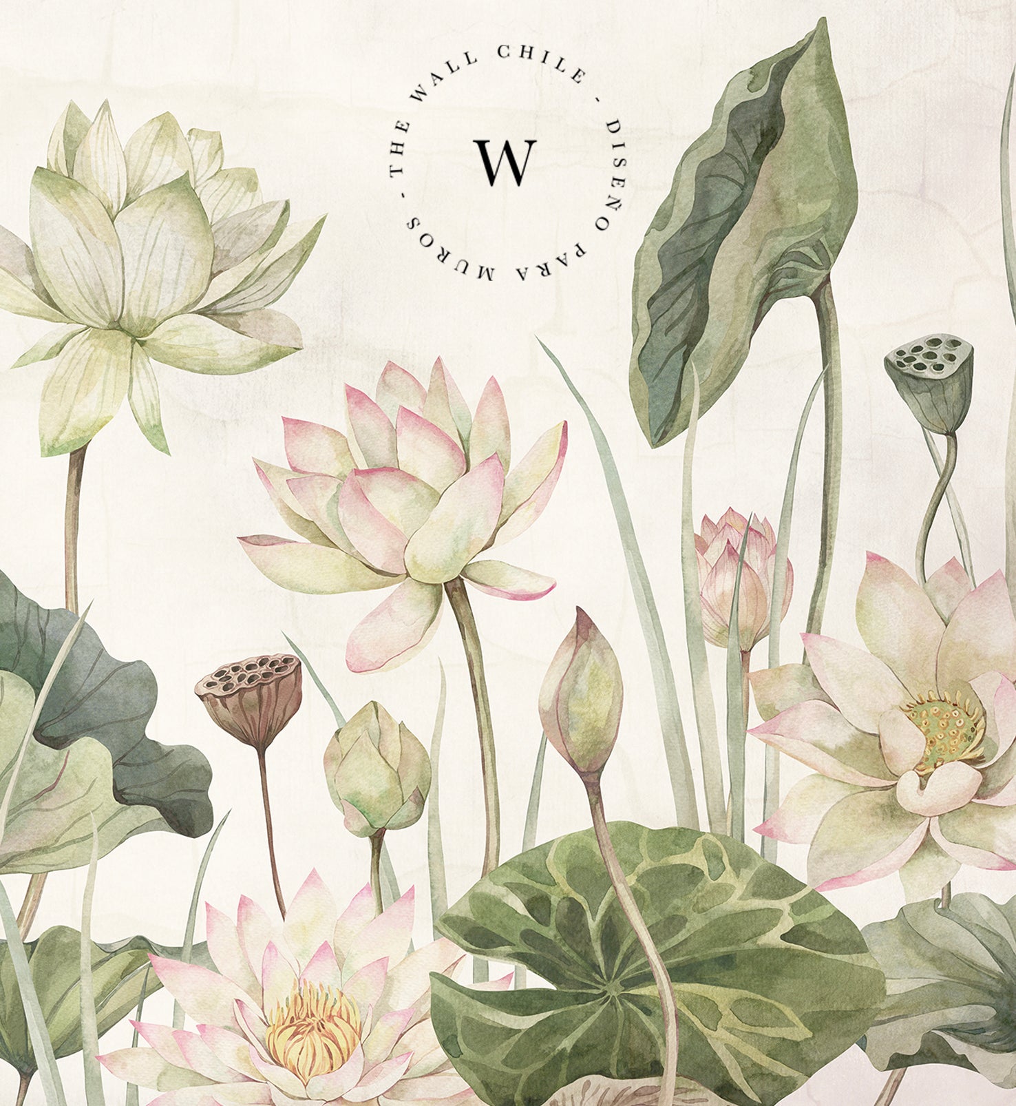 Lovely Water Lillies - Medium