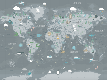 Country World Map