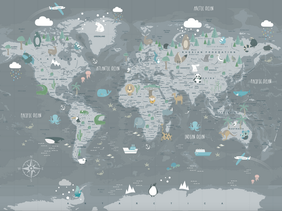 Country World Map