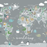 World Map