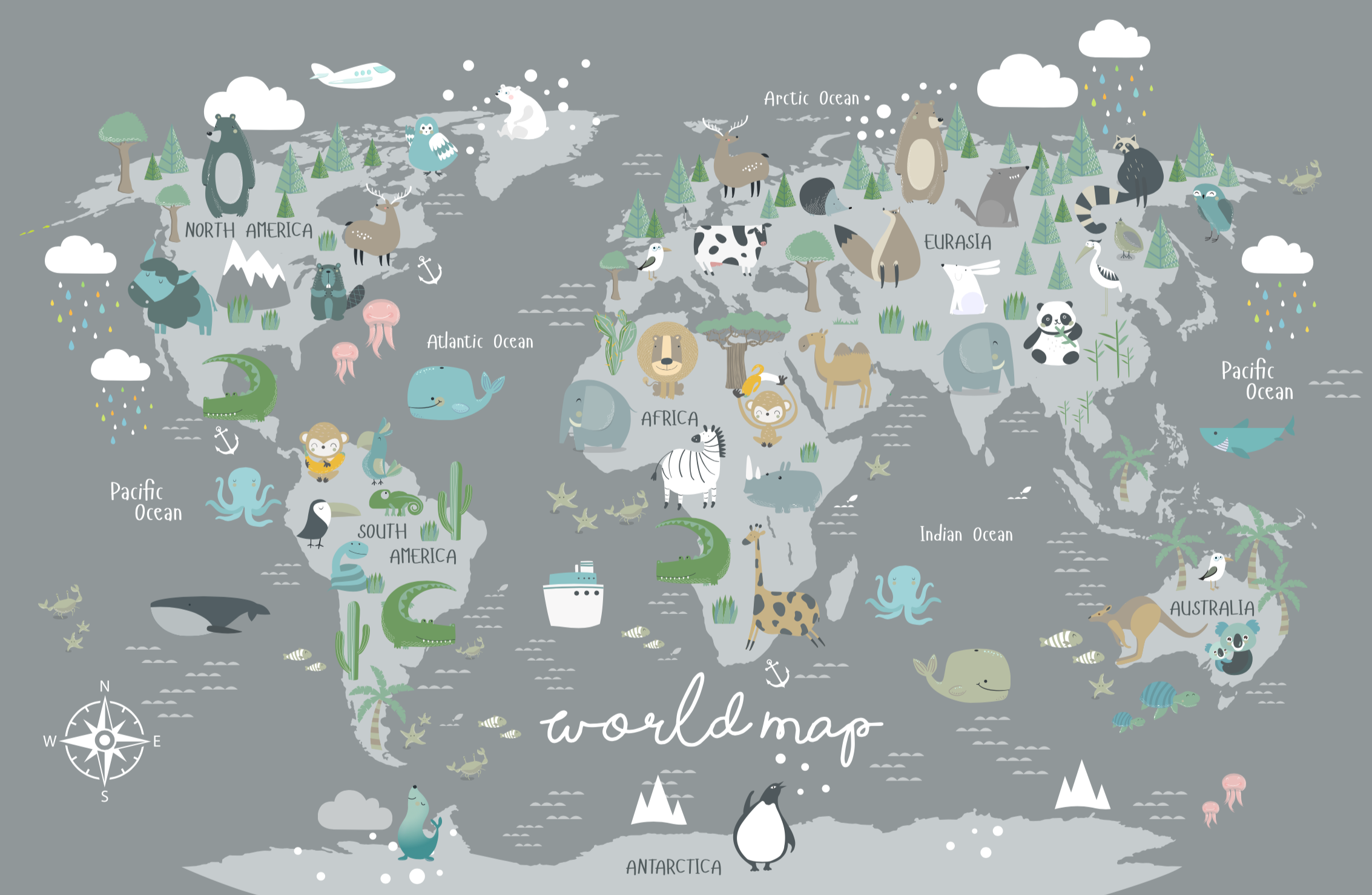World Map