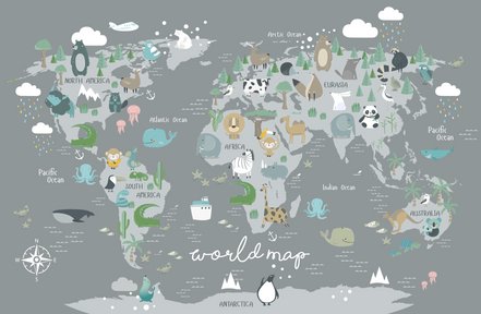 World Map