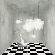 Ilution