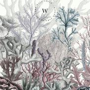 Ocean Wonders