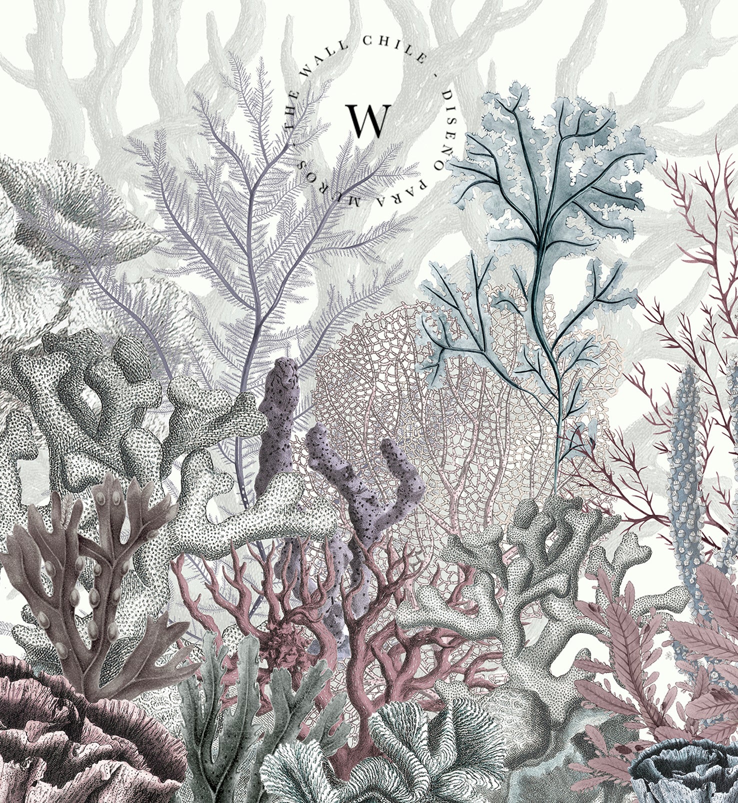 Ocean Wonders