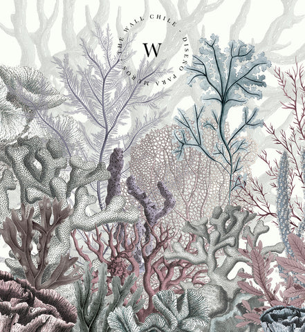 Ocean Wonders