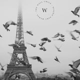 Papel Mural, Papel Pintado, Wallpaper, Mural, Empavonados, Vinilico Autoadhesivo para muros de la marca The Wall, diseño de tendencia Paris