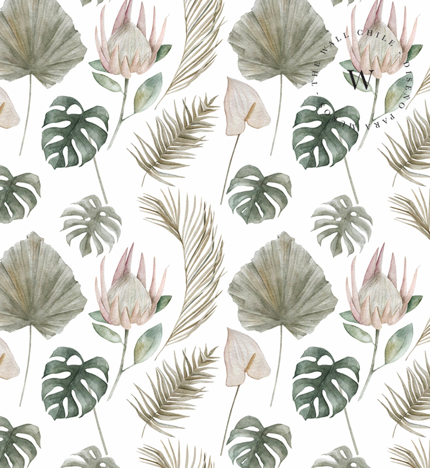 Pastel Protea