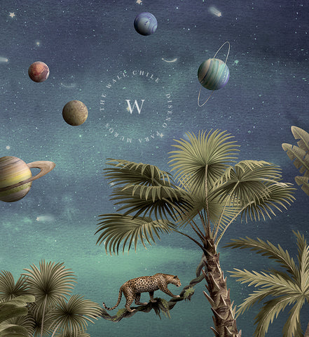 Pretty Planets