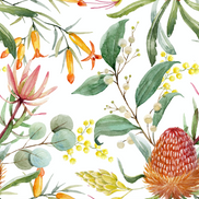 Proteas