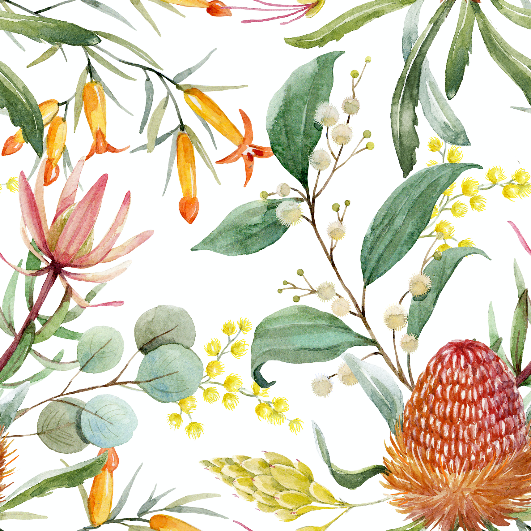 Proteas
