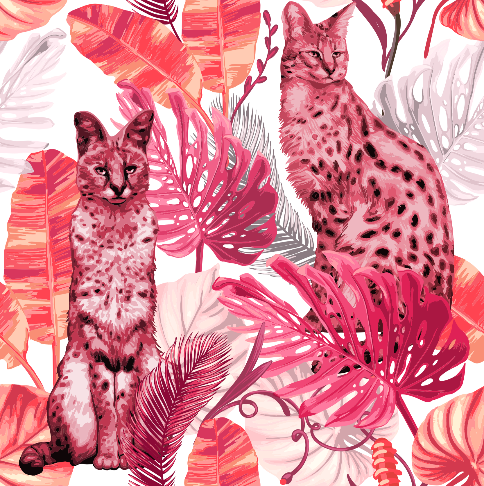 Red Chita