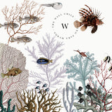 Roaring Reef - White