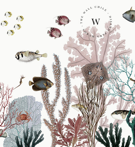 Roaring Reef - White