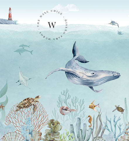 Secret Sealife