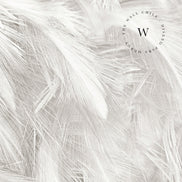 Soft Feather