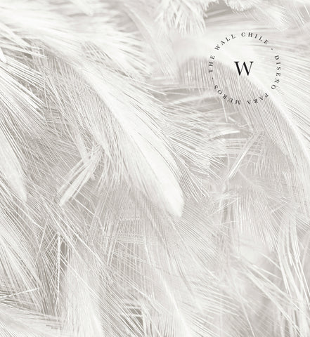 Soft Feather