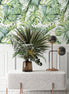 Soft Tropical