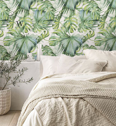 Soft Tropical