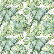 Soft Tropical