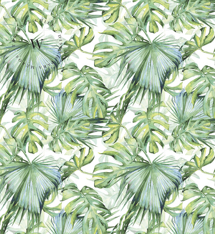 Soft Tropical
