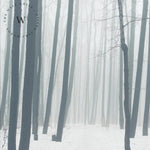  Papel Mural, Papel Pintado, Empavonados, Vinilico Autoadhesivo para muros de la marca The Wall, diseño de tendencia The Forest