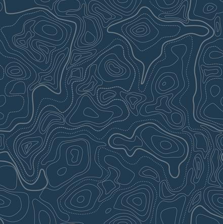 Topographics