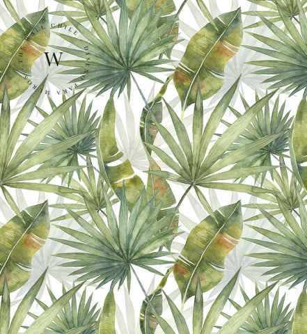 Trend Tropical