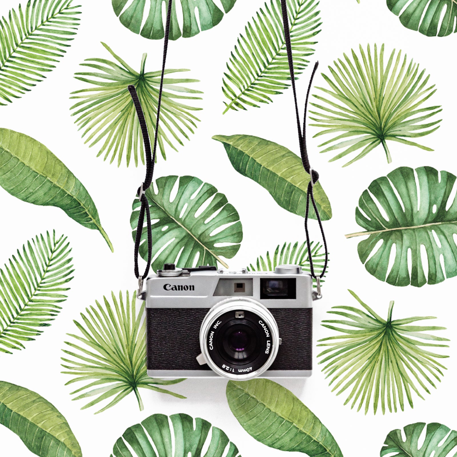 Tropical
