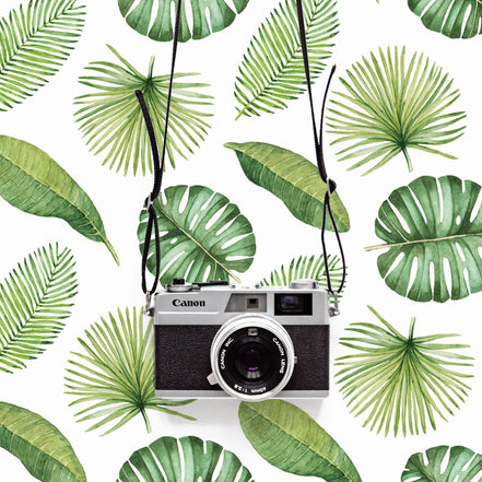 Tropical