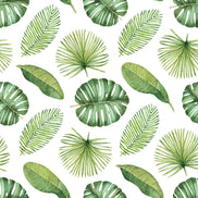 Tropical