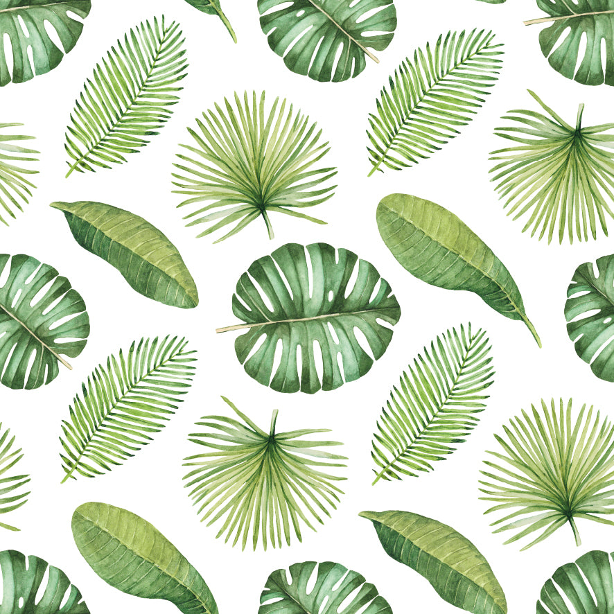 Tropical