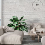 Papel Mural, Papel Pintado, Wallpaper, Mural, Empavonados, Vinilico Autoadhesivo para muros de la marca The Wall, diseño de tendencia Vintage Fabric