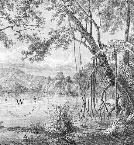 Vintage Landscape