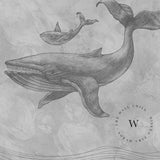 Whales