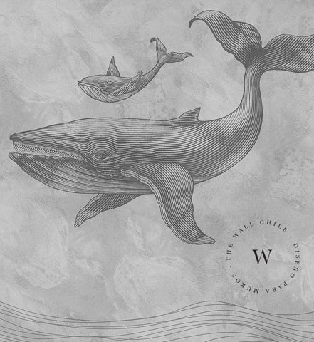 Whales