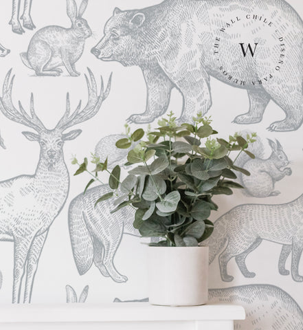 Wild Animals