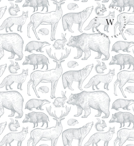 Wild Animals