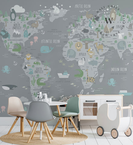 World Map