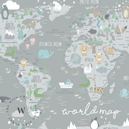 World Map