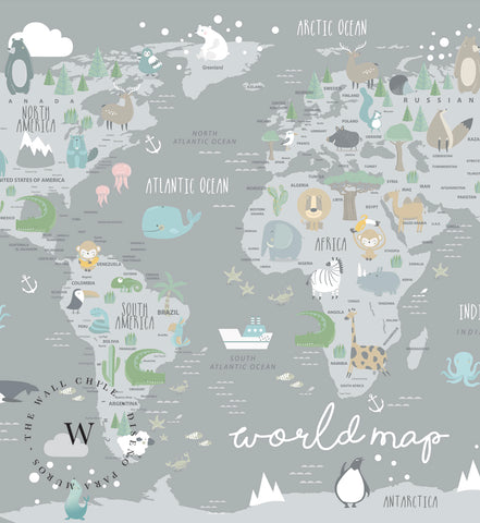 World Map
