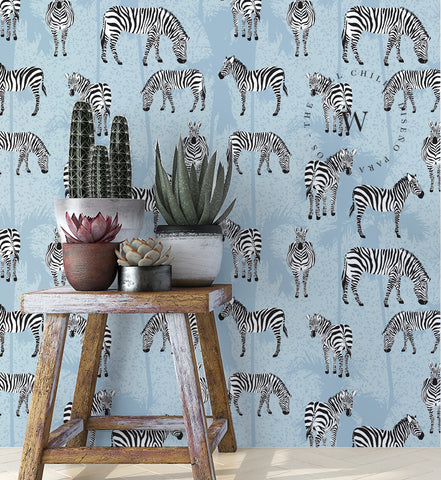 Zebra