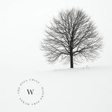 Papel Mural y Vinilico Autoadhesivo para muros de la marca The Wall, diseño de tendencia Alone