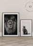 Black and White Lion Cuadro